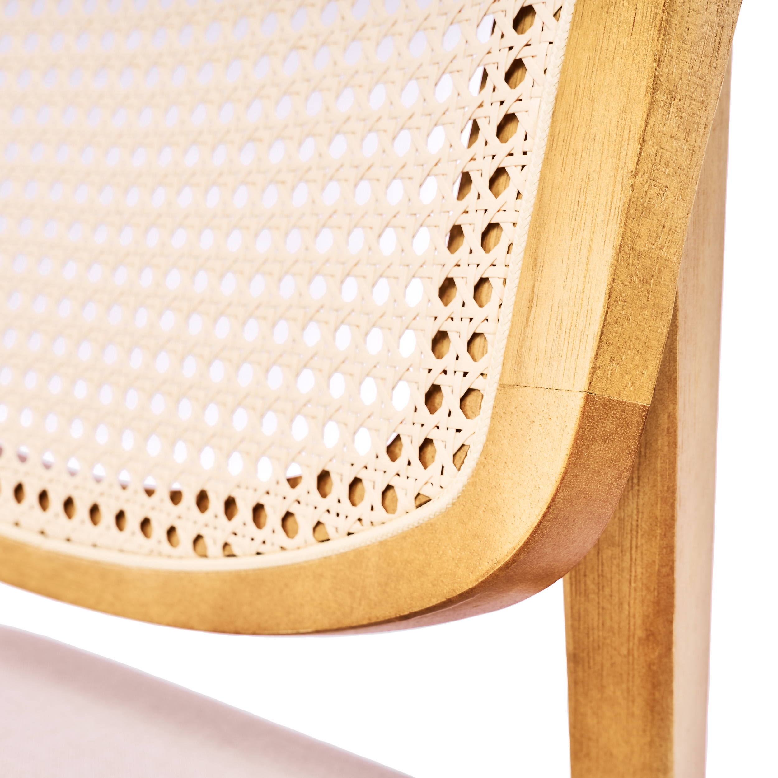 SILLA SAGA: imagen 4